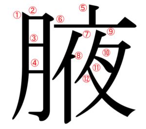 腋下 読み方|腋（月に夜、月夜）という漢字は何？読み方・意味